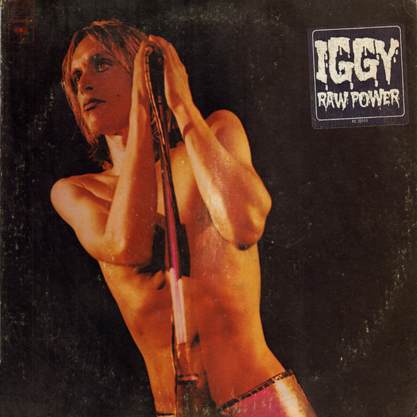 Raw power vinyl cover